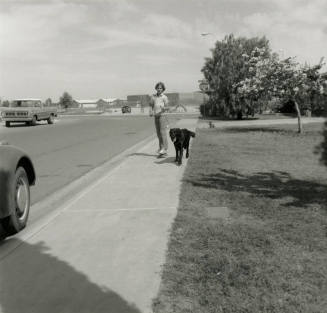 Boy and Dog, March 1978