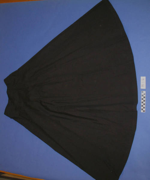 Skirt, Womens, Athletic