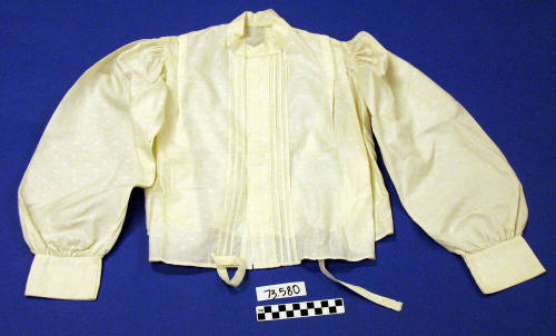 Shirtwaist, Womens