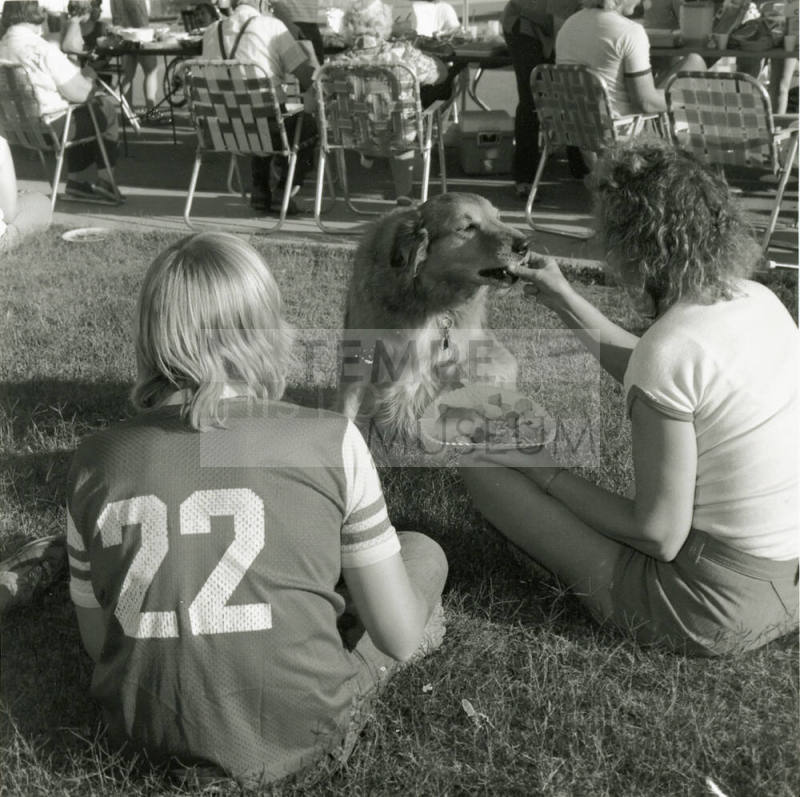 A Dog's Life - Tempe Daily News - April 18, 1978
