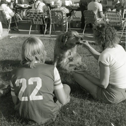 A Dog's Life - Tempe Daily News - April 18, 1978
