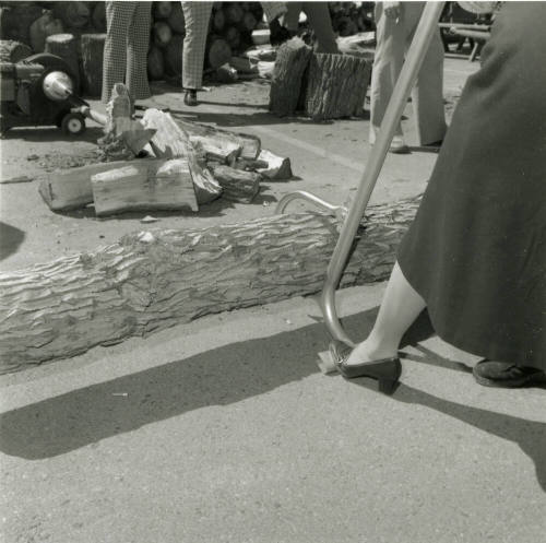 Easy As Rolling Off A Log. - Tempe Daily News, April 18 1978