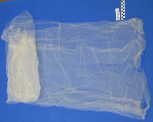 Wedding Veil