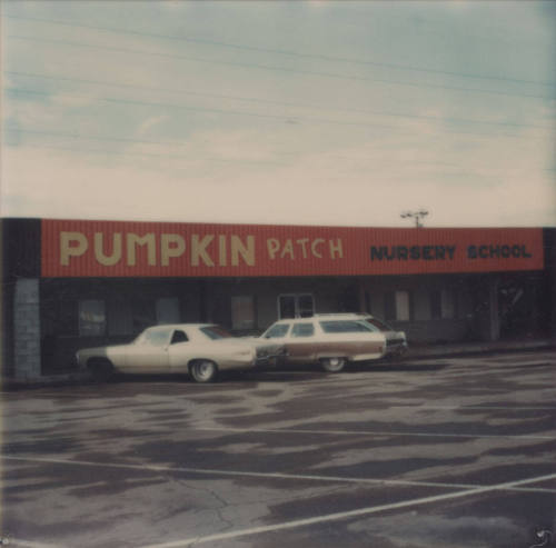Pumpkin Patch Nursery - 3300 South Mill Avenue, Tempe, Arizona