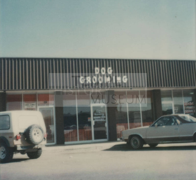 Town and Country Dog Grooming Shop - 3400 South Mill Avenue, Tempe, Arizona