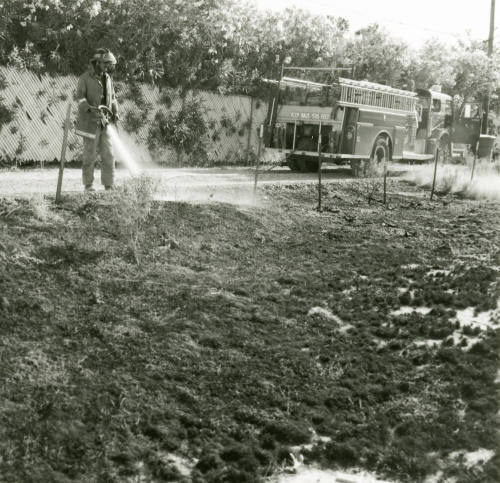 Arson Outbreak -- Tempe Daily News, June 3, 1978