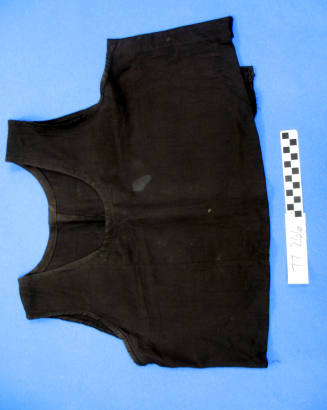 Corset Cover