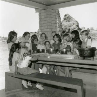 Too Many Hands Spoil The Broth? -- Tempe Daily News, June 14, 1978