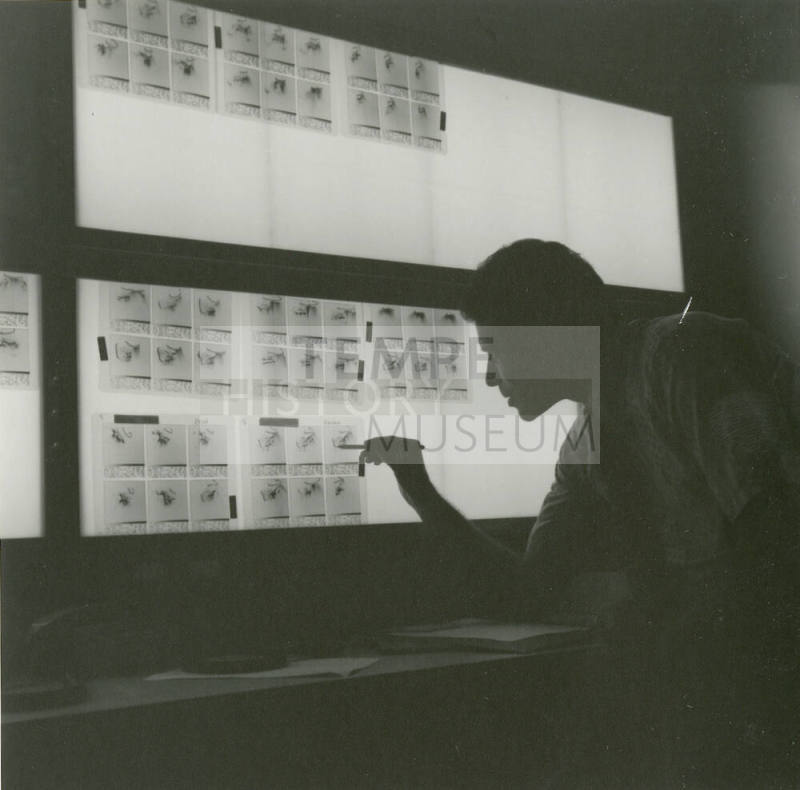 Studying The Results. - Tempe Daily News, June 27 1978