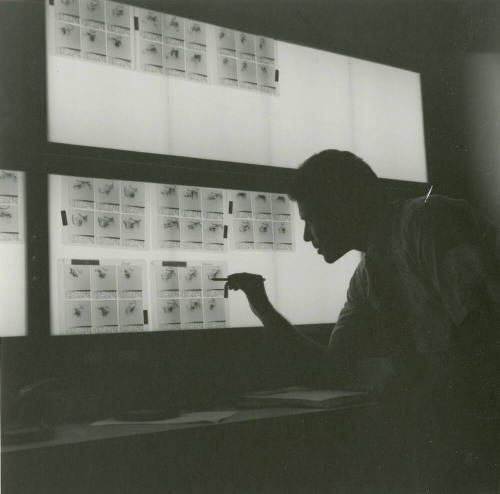 Studying The Results. - Tempe Daily News, June 27 1978