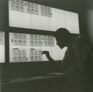 Studying The Results. - Tempe Daily News, June 27 1978
