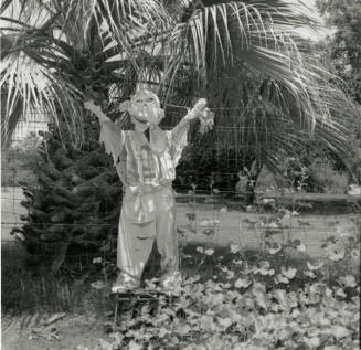 Sun Too Much Even For Scarecrows! - Tempe Daily News: 7/5/1978