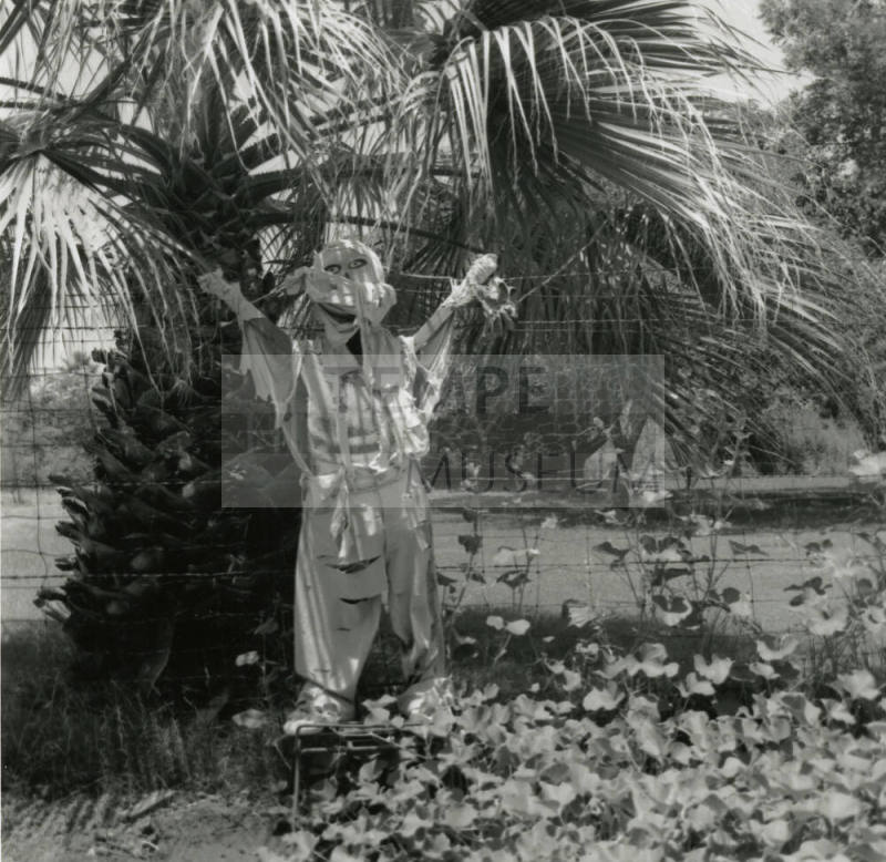 Sun Too Much Even For Scarecrows! - Tempe Daily News: 7/5/1978