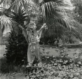 Sun Too Much Even For Scarecrows! - Tempe Daily News: 7/5/1978