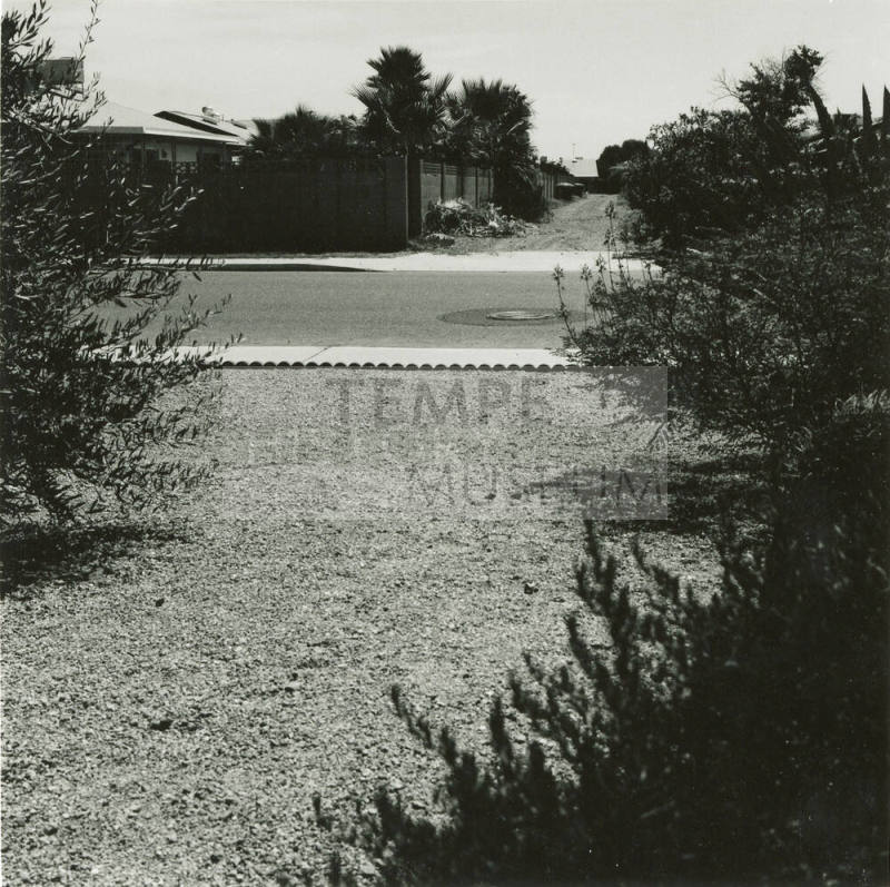 'Lovely' View -- Tempe Daily News, July 14, 1978