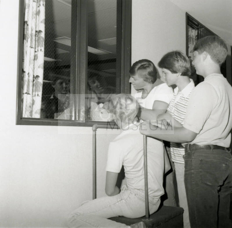 Viewing platform -- July 1978