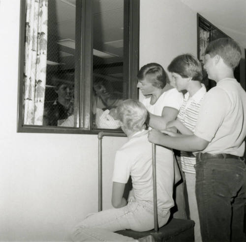 Viewing platform -- July 1978