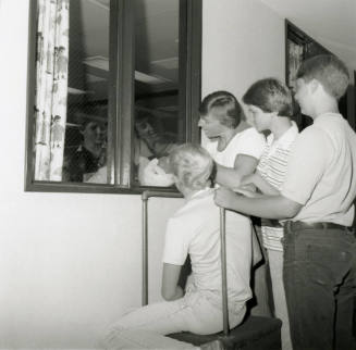 Viewing platform -- July 1978