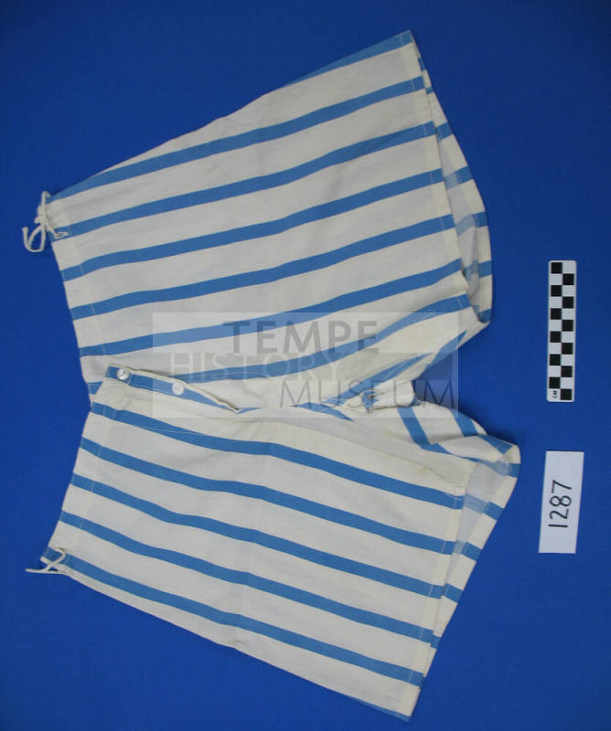 Briefs