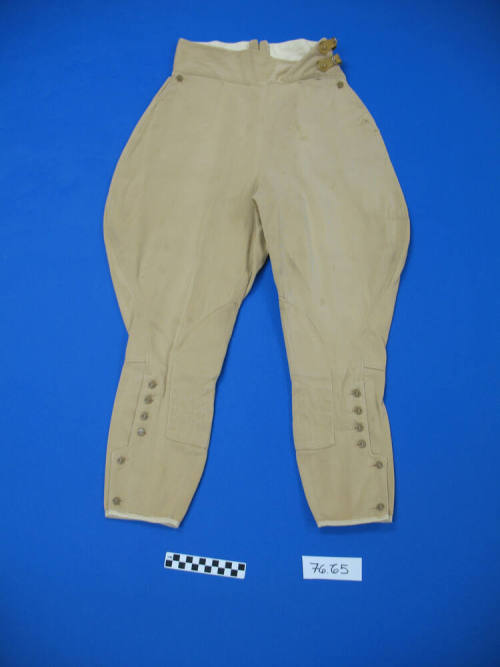 Riding Breeches