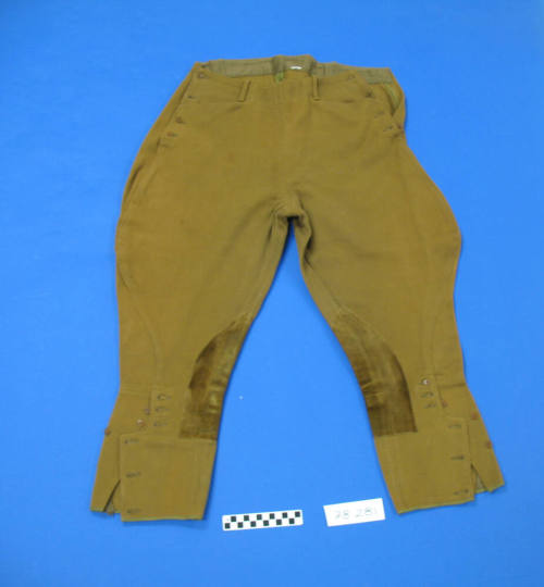 Riding Breeches