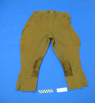 Riding Breeches