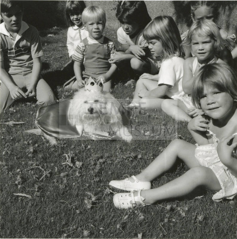 The Dog Days of Summer - Tempe Daily News: 7/21/1987