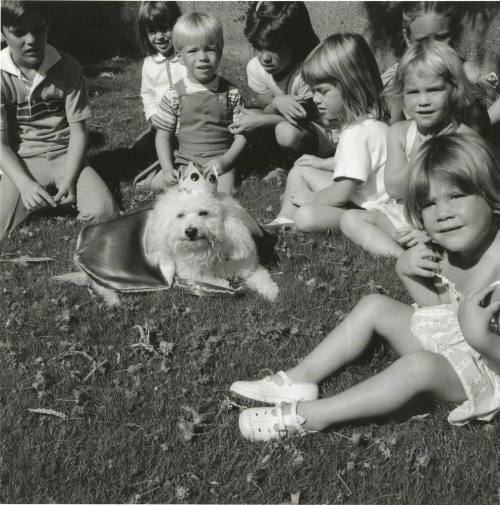 The Dog Days of Summer - Tempe Daily News: 7/21/1987