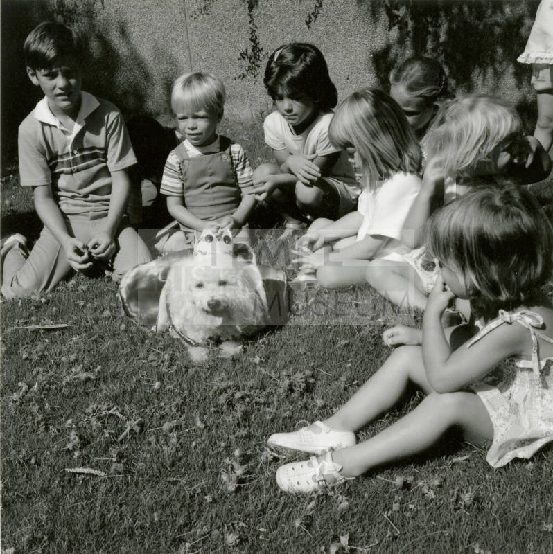 The Dog Days of Summer - Tempe Daily News: 7/21/1987