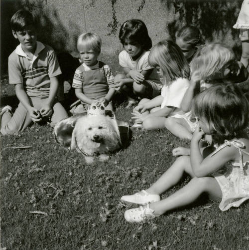 The Dog Days of Summer - Tempe Daily News: 7/21/1987