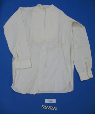 Shirt, Bib Top, Dress
