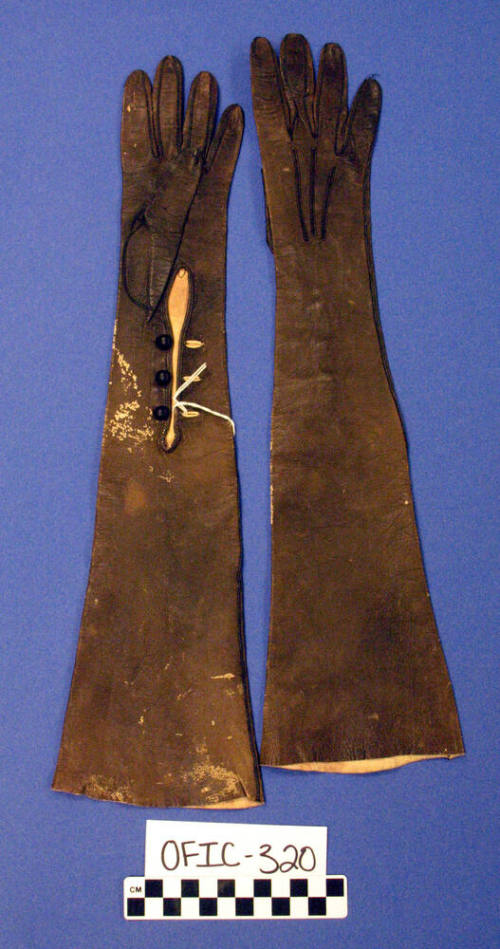 Leather Gloves