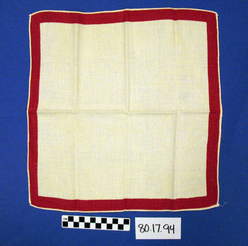 Napkin
