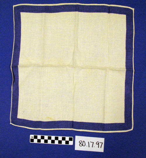 Napkin