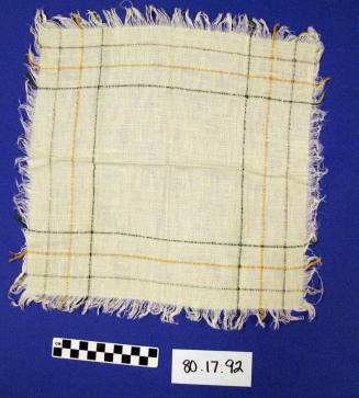 Napkin
