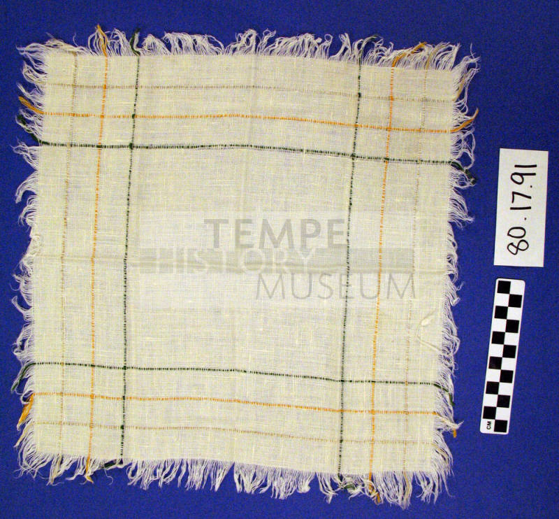 Napkin
