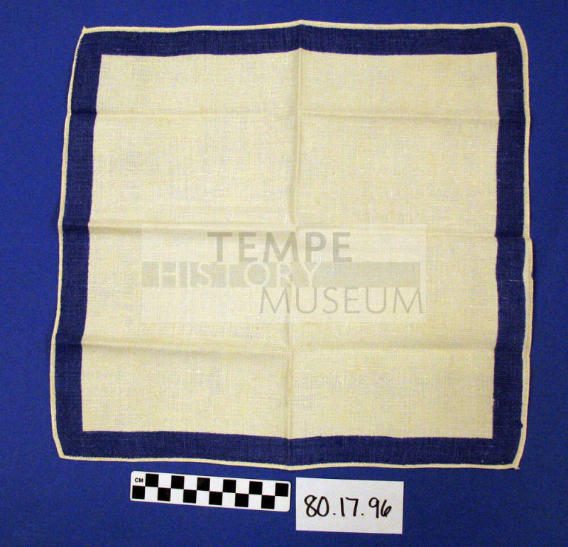 Napkin