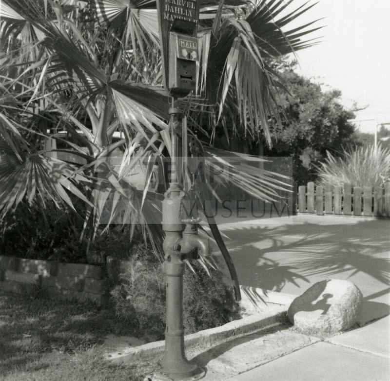 Down By The Old Mail System. - Tempe Daily News, August 24 1978