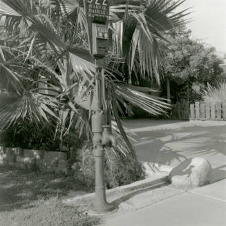 Down By The Old Mail System. - Tempe Daily News, August 24 1978