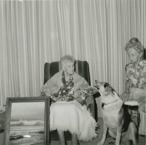 'Bird Lady' And Friend - Tempe Daily News - September 2, 1978 - (2 of 2)