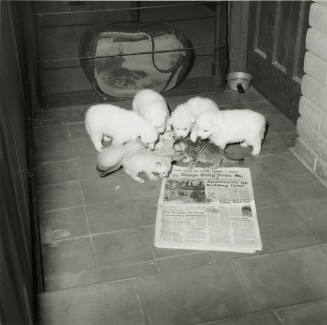 All In The Family -- Tempe Daily News, Oct 9, 1978