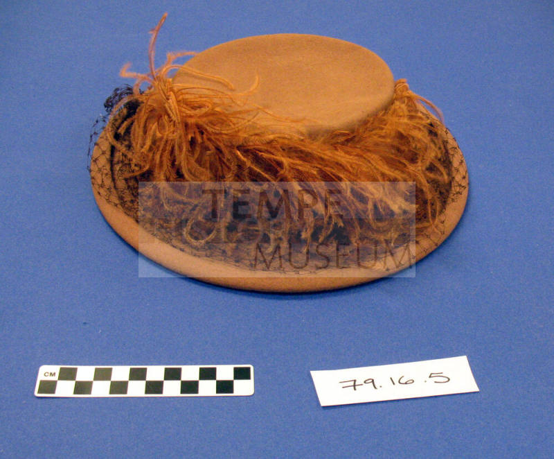 Brown felt hat