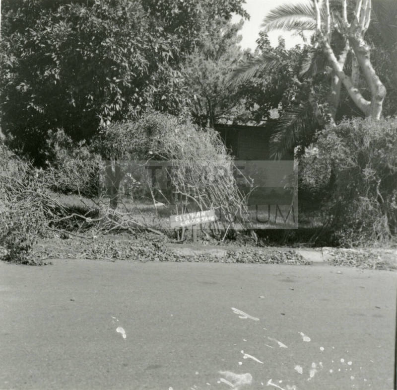 Elephant Crossing? - Tempe Daily News - September 30, 1978