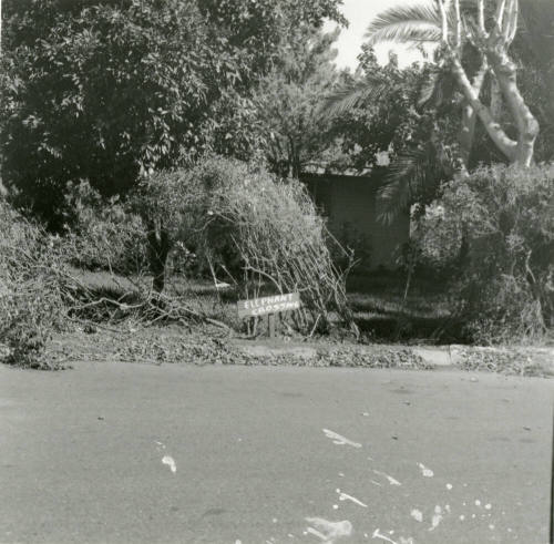 Elephant Crossing? - Tempe Daily News - September 30, 1978
