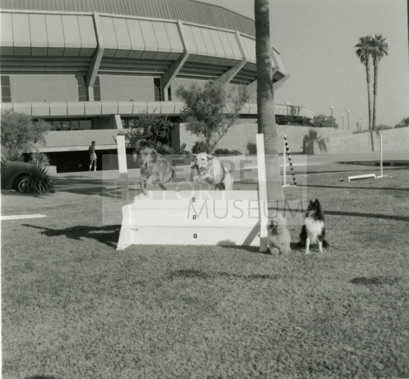Among The Best In The West - Tempe Daily News - October 4, 1978