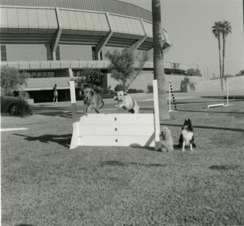 Among The Best In The West - Tempe Daily News - October 4, 1978