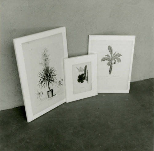 Botanical Art Show - Tempe Daily News - October 7, 1978