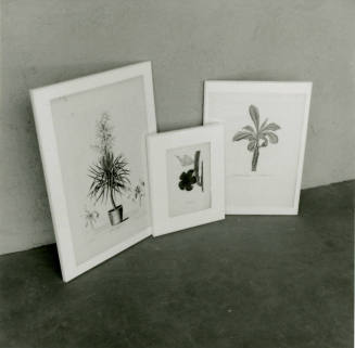 Botanical Art Show - Tempe Daily News - October 7, 1978