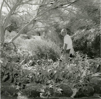 A little Love To Grow On. - Tempe Daily News, October 25 1978