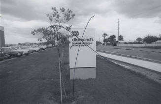 Diamonds General Offices and Service - 1616 S. Price Road, Tempe, AZ